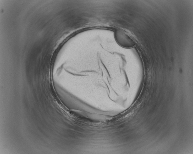 X0000066961220200604211833