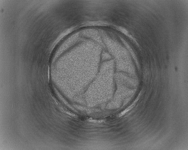 X0000066961221200604211833