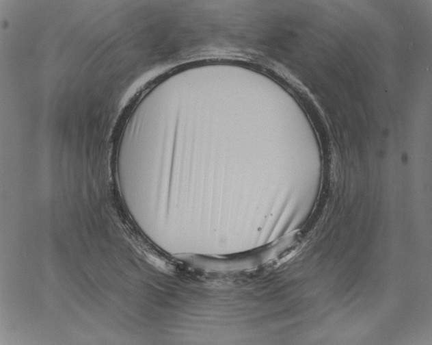 X0000066961222200604211833