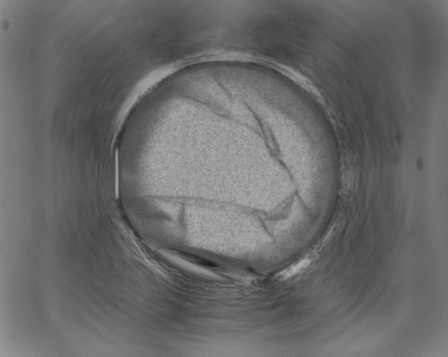 X0000066961223200604211833