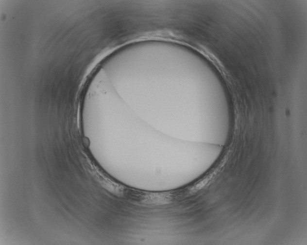 X0000066961224200604211833