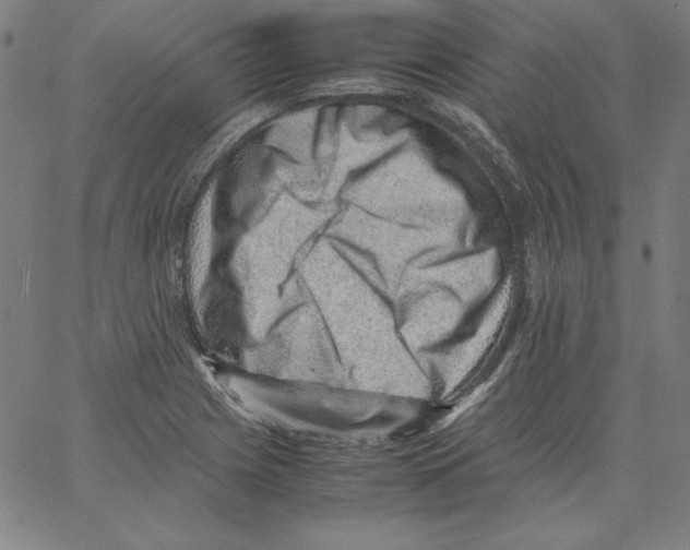 X0000066961225200604211833