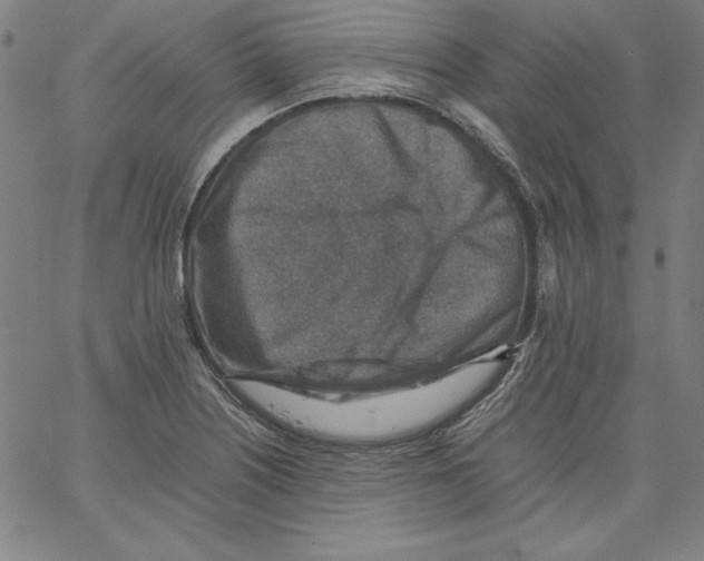 X0000066961226200604211833