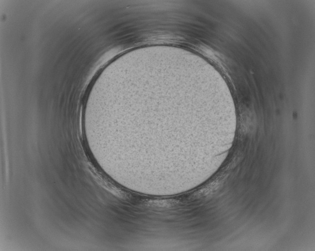 X0000066961227200604211833