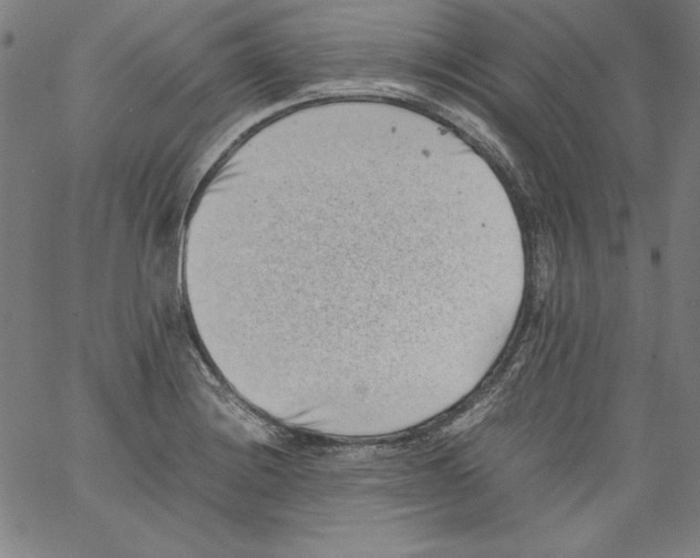 X0000066961228200604211833