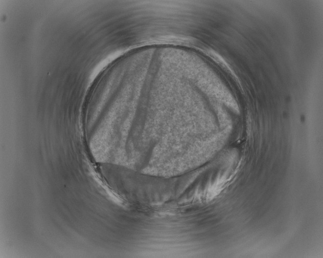 X0000066961230200604211833