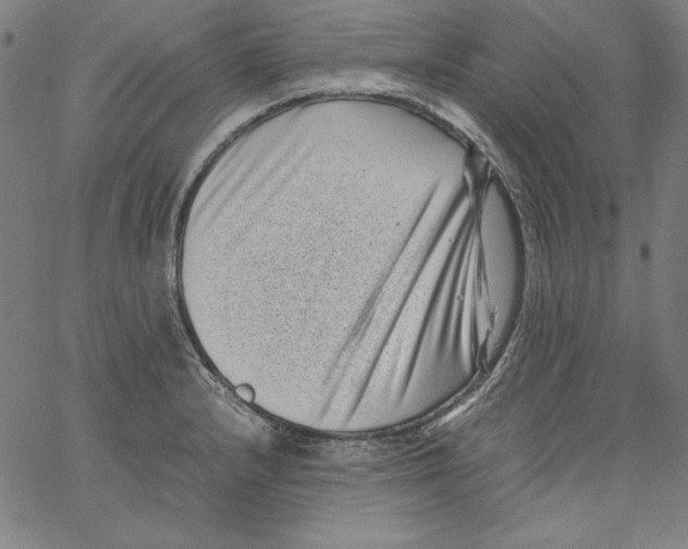 X0000066961232200604211833