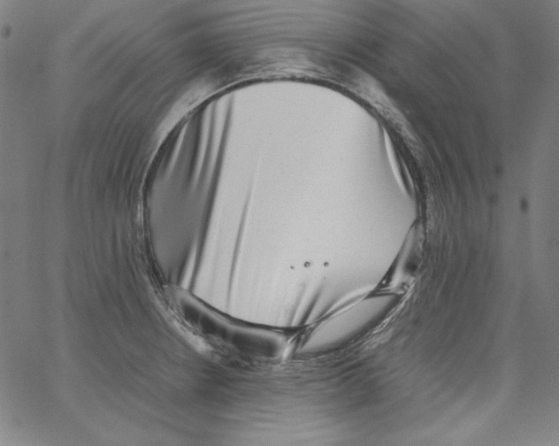 X0000066961234200604211833