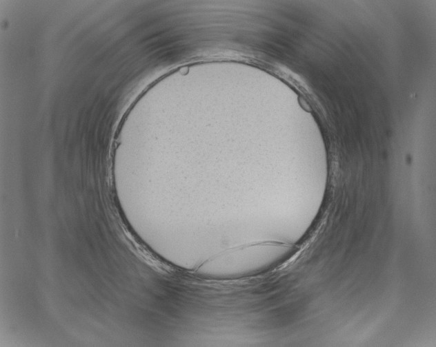 X0000066961236200604211833