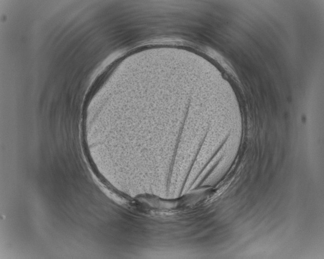 X0000066961237200604211833