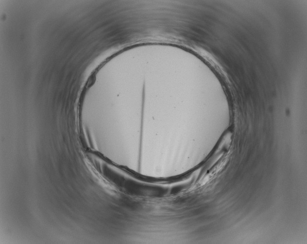 X0000066961238200604211833