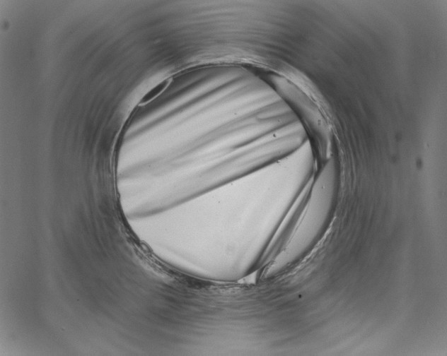 X0000066961242200604211833