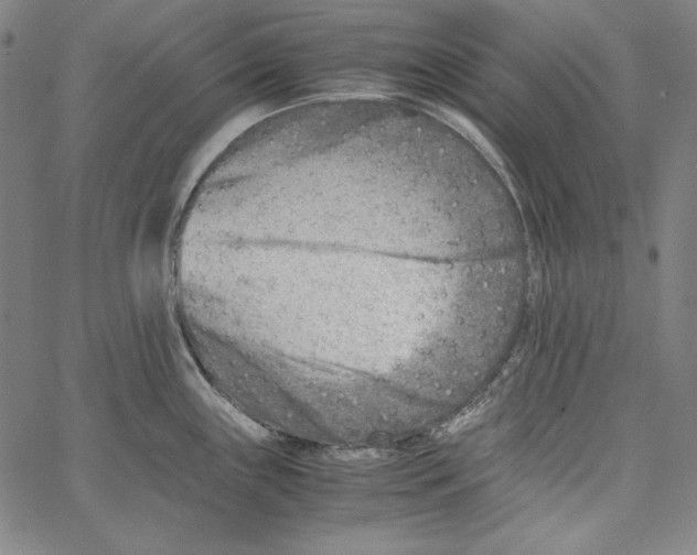 X0000066961243200604211833