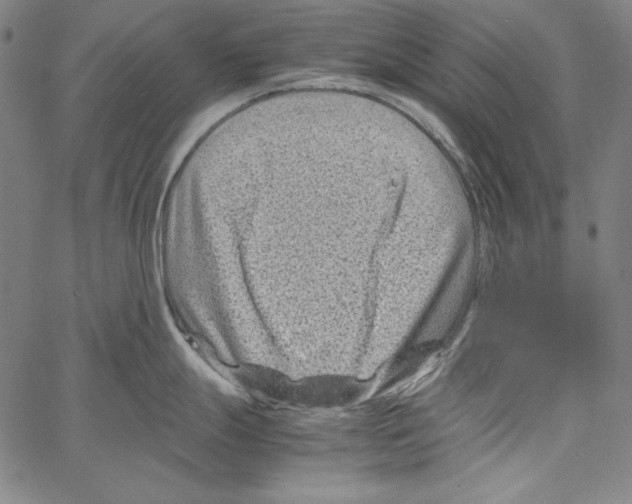 X0000066961247200604211833