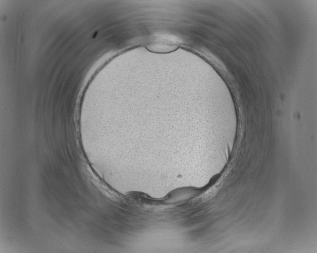 X0000066961248200604211833