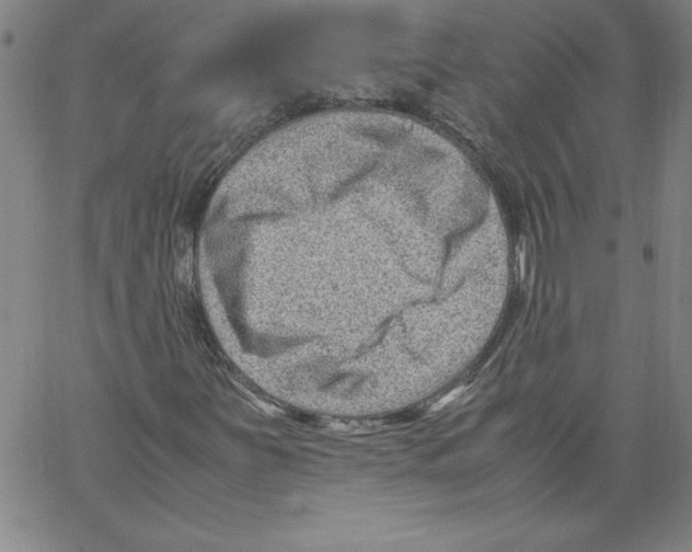 X0000066961251200604211832