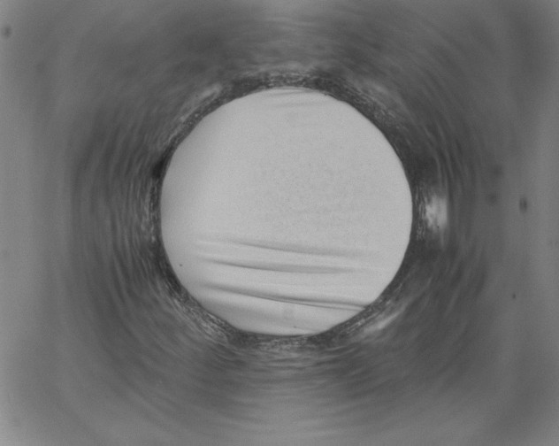 X0000066961252200604211832