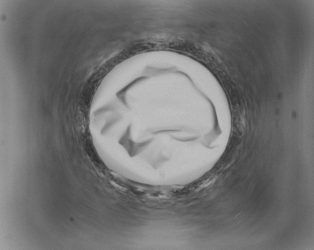 X0000066961253200604211832