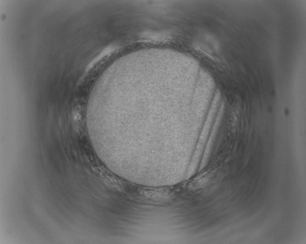 X0000066961254200604211832