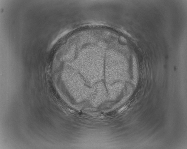 X0000066961255200604211832