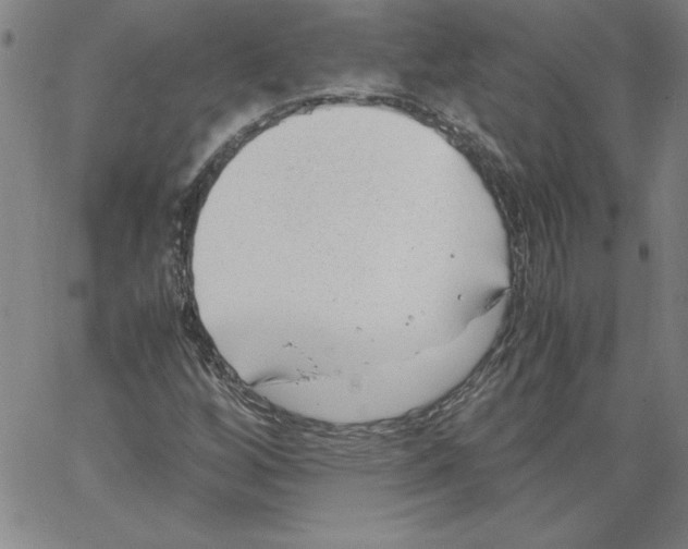 X0000066961256200604211832