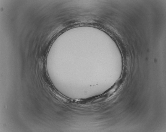 X0000066961257200604211832