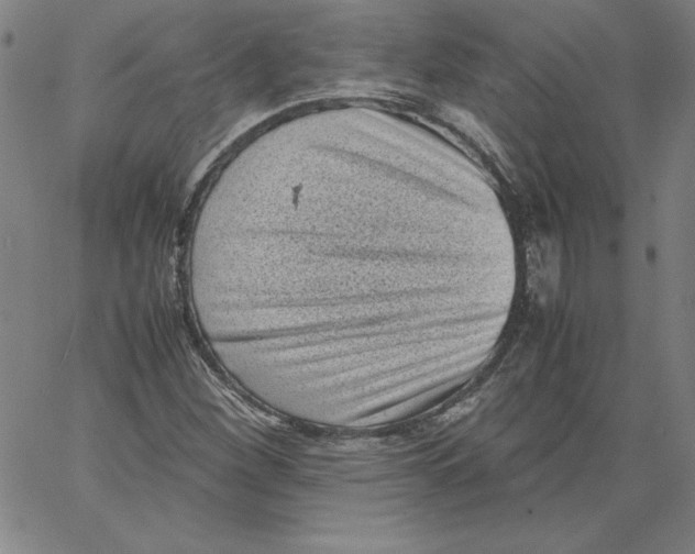 X0000066961260200604211832