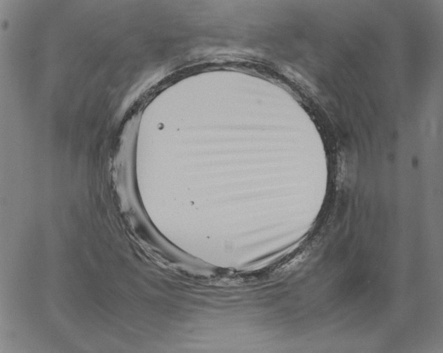 X0000066961261200604211832