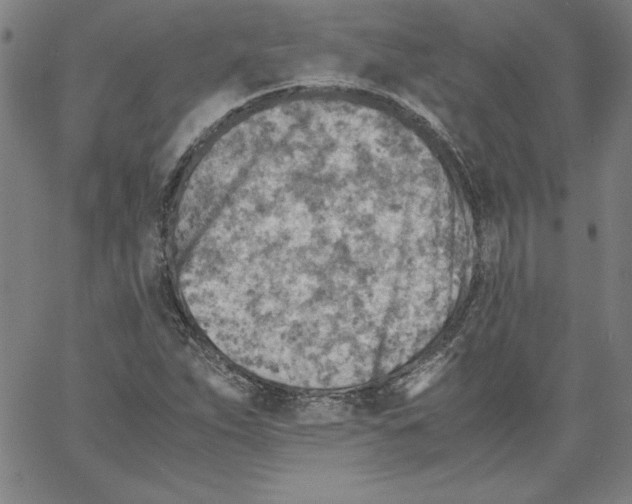 X0000066961263200604211832