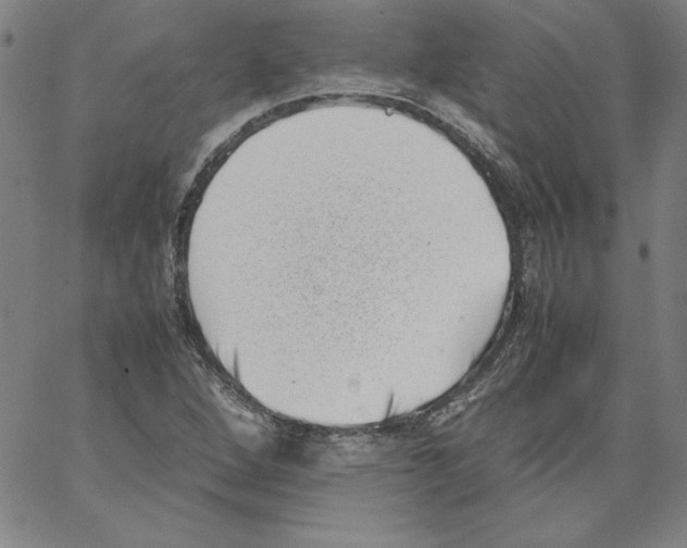 X0000066961264200604211832