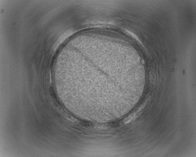 X0000066961267200604211832