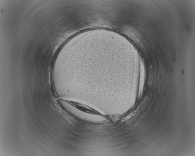 X0000066961268200604211832