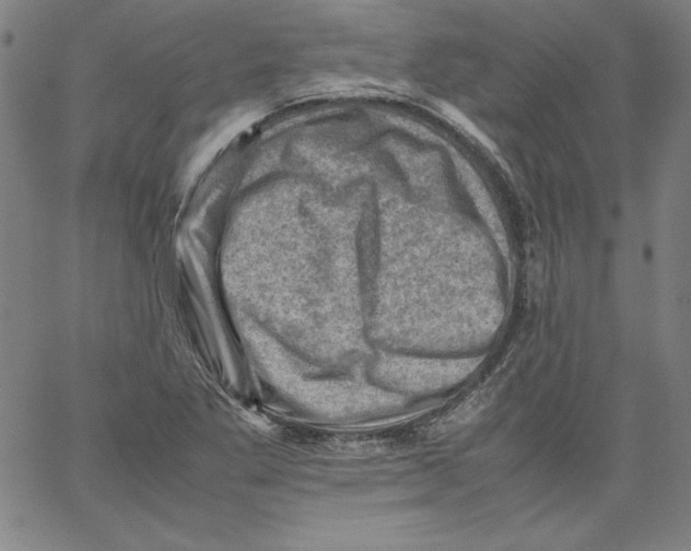 X0000066961269200604211832