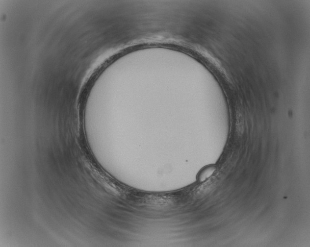 X0000066961270200604211832