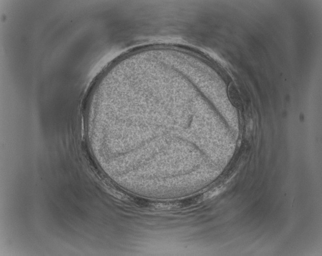 X0000066961271200604211832