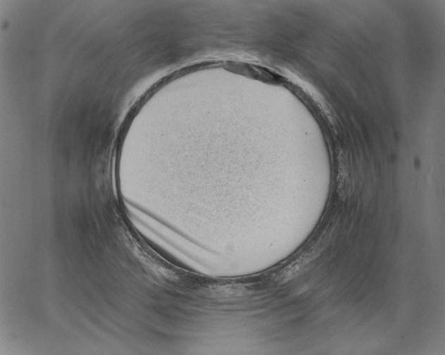 X0000066961272200604211832