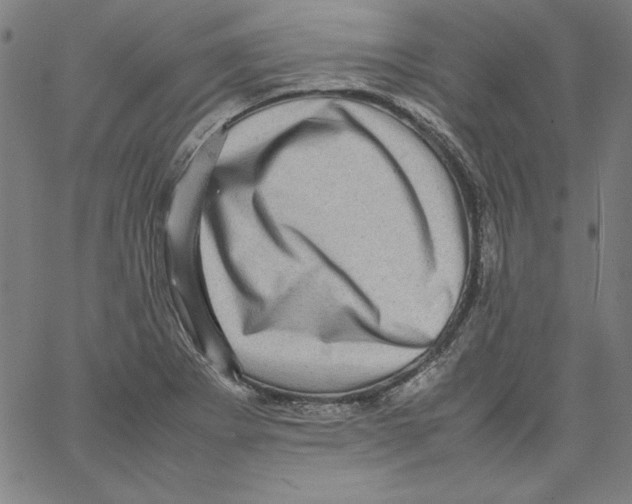 X0000066961273200604211832