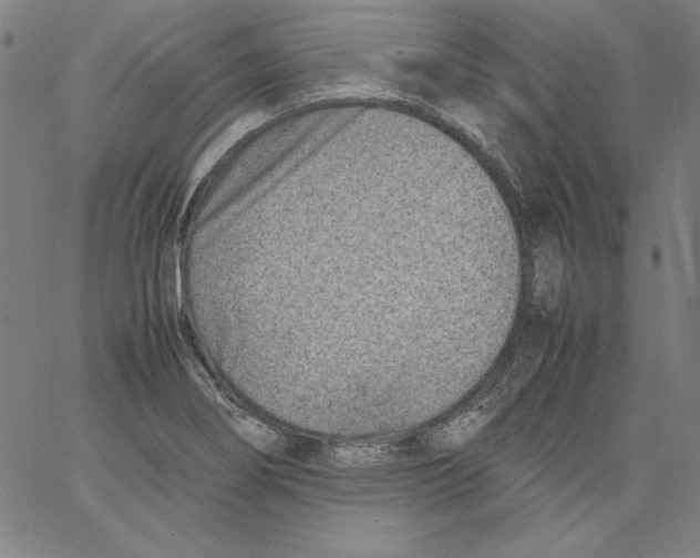 X0000066961274200604211832