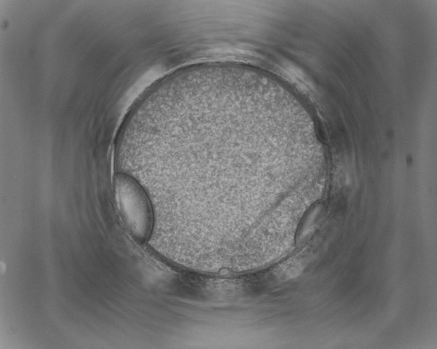 X0000066961275200604211832