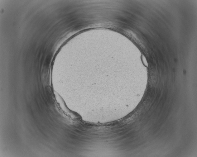 X0000066961276200604211832