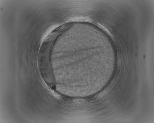 X0000066961277200604211832