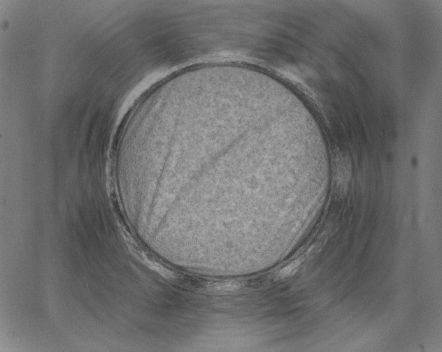 X0000066961278200604211832