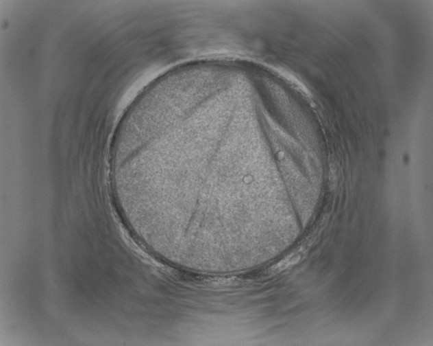 X0000066961279200604211832