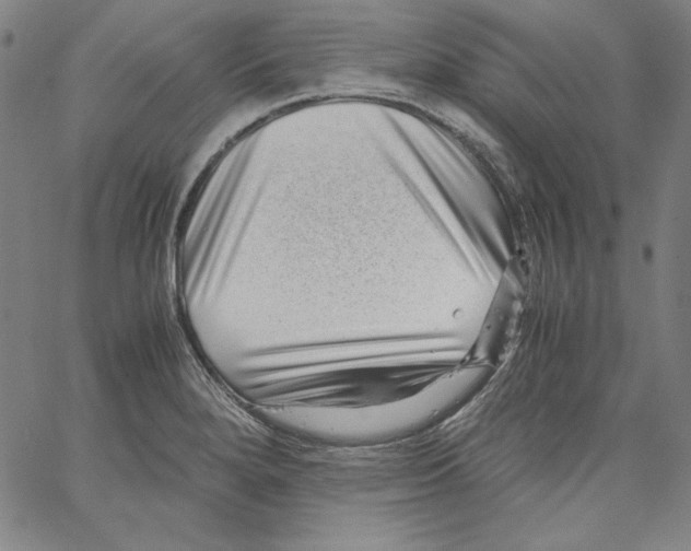 X0000066961280200604211832