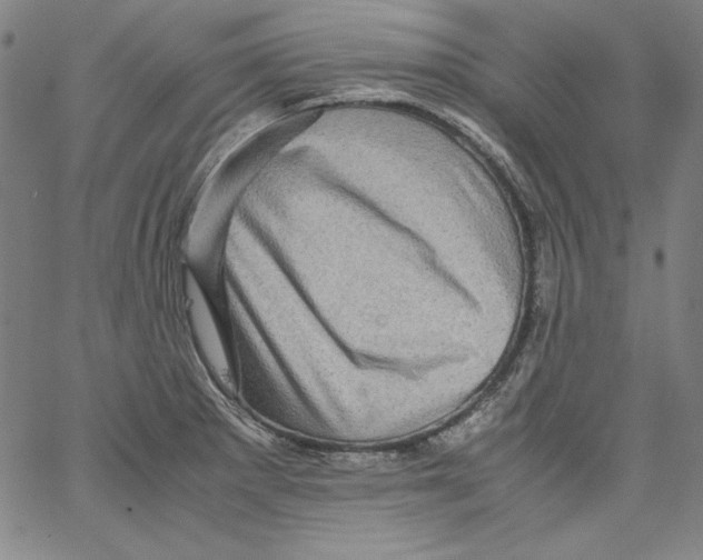 X0000066961281200604211832