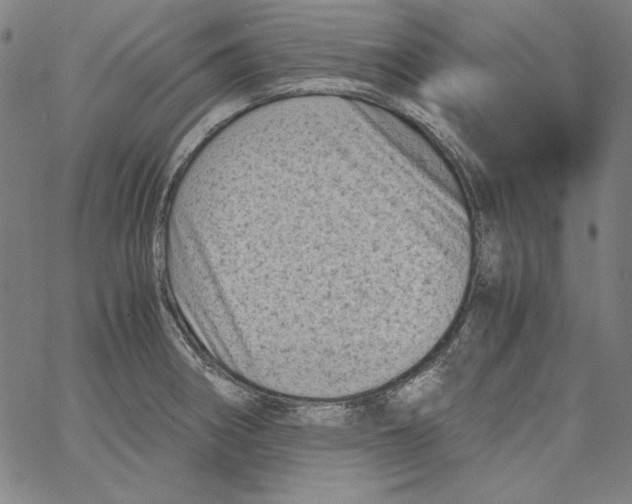 X0000066961282200604211832