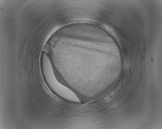 X0000066961283200604211832