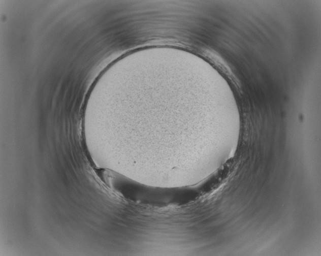 X0000066961284200604211832