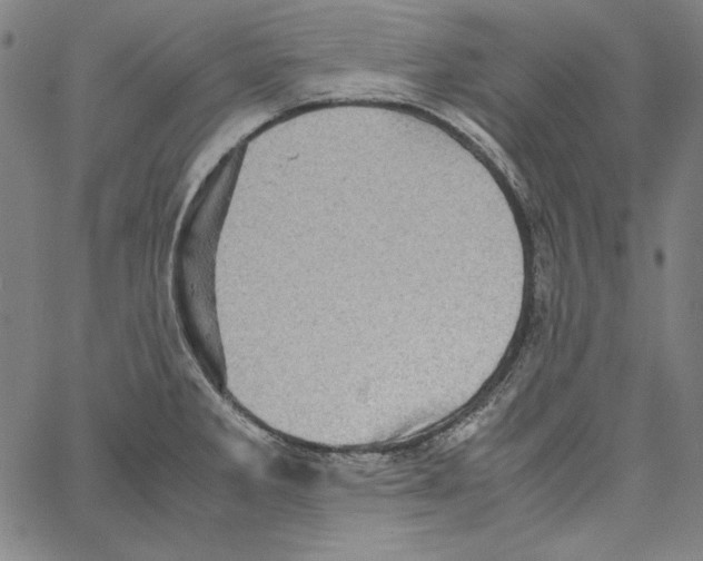 X0000066961285200604211832