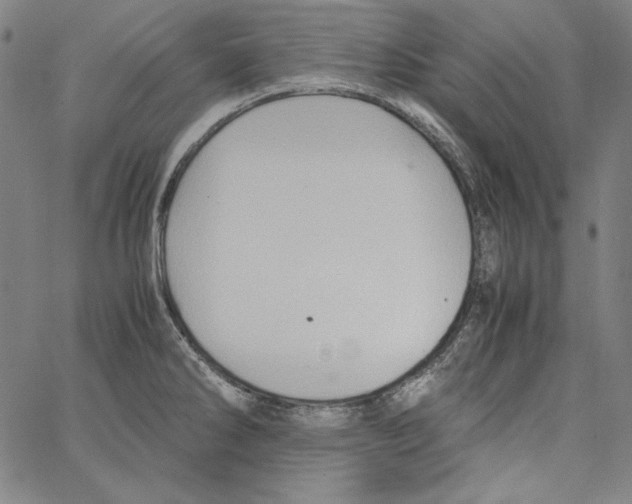 X0000066961286200604211832